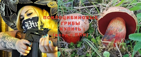 крисы Каменка