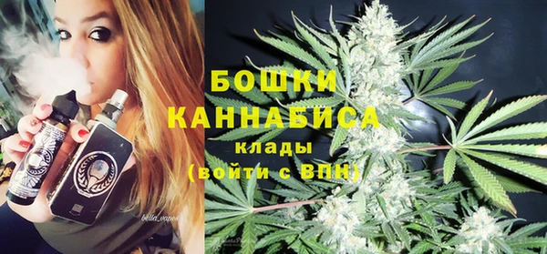 apvp Каменногорск