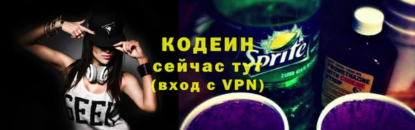крисы Каменка