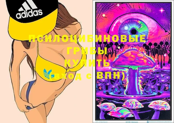 кокс Иннополис