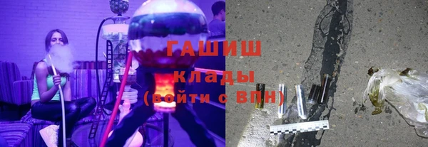 крисы Каменка